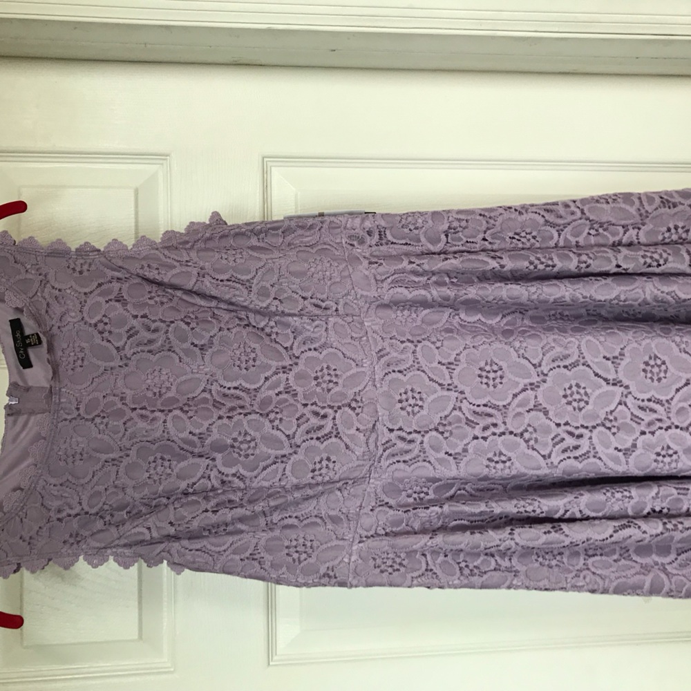 Lavender Lace Knee length dress. Flare bottom.Size 15. Brand New with tags